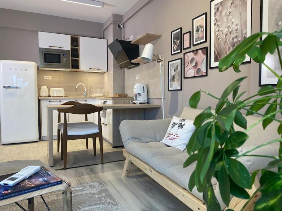 Shi Ti Junior Suite Iasi Bagian luar foto